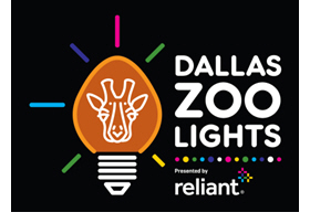Introducing Dallas Zoo Lights, a Bright New Holiday Celebration