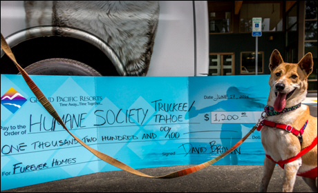 Grand Pacific Resorts Partners with Humane Society of Truckee-Tahoe to Provide ''Furrever'' Homes