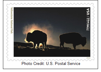 Postal Service Previews Last of 16 Stamps Celebrating National Park Service's Centennial: Stamp Highlights Yellowstone National Park