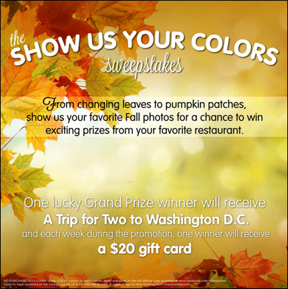 Ryan's, HomeTown Buffet, and Old Country Buffet Celebrate the Season of Change with a 'Show Us Your Colors' Sweepstakes