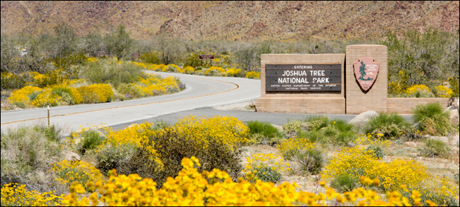 Trek Travel Debuts Palm Springs & Joshua Tree Bike Tour