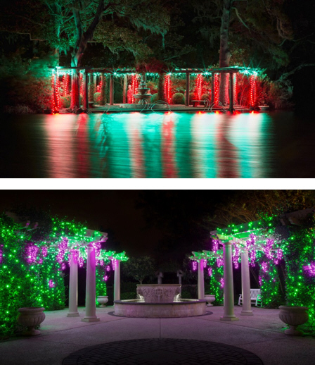 Enchanted Airlie Celebrates 10 Years with Expanded Forest & Lights Galore