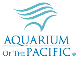 Pacific Visions at the Aquarium of the Pacific Redefines the Role of Aquariums
