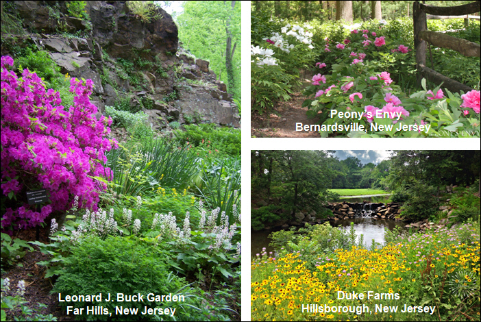 Somerset County Gardens Provide Blooms and Horticulture Year 'Round for Eco-Tourists and Gardening Buffs