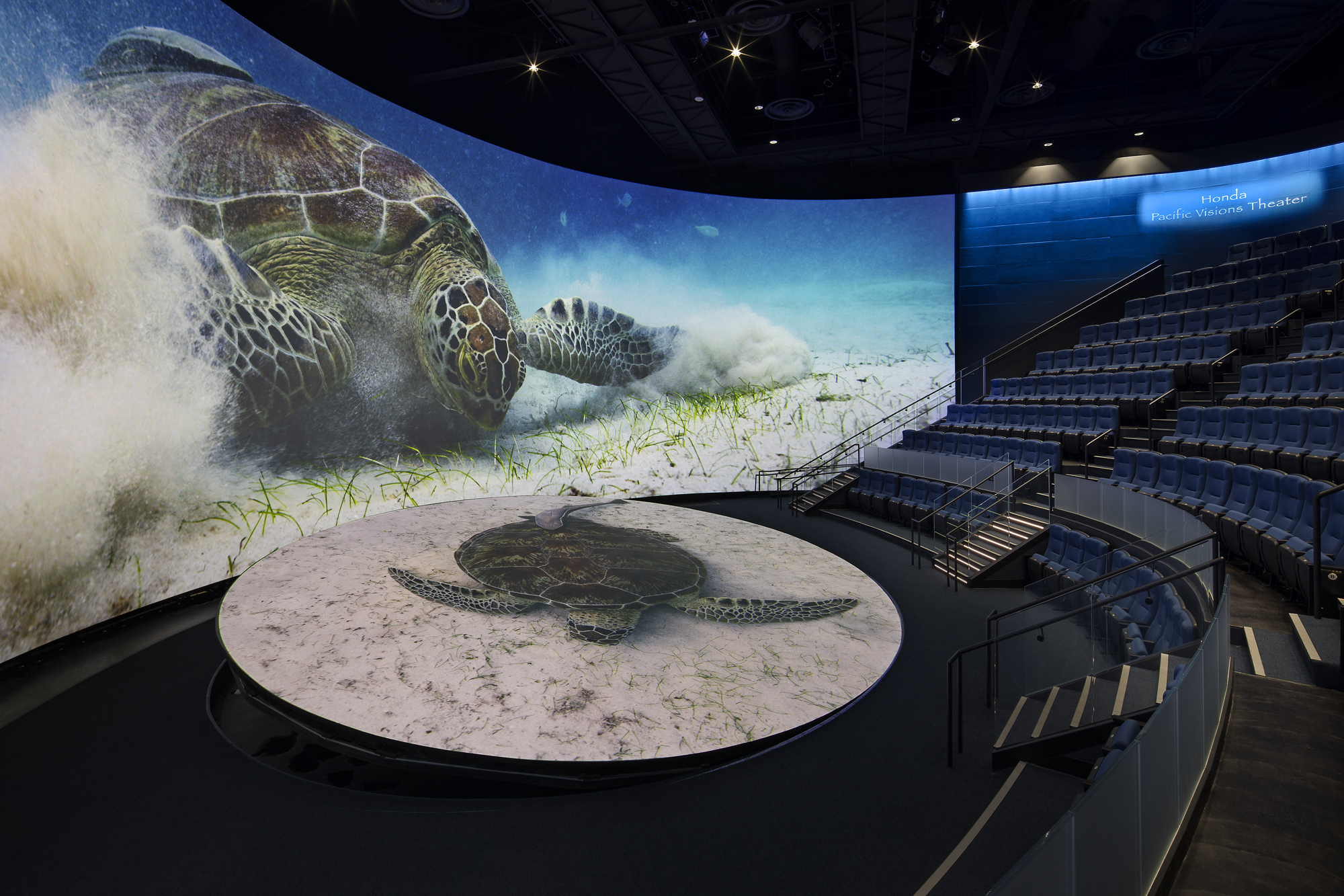 Pacific Visions at the Aquarium of the Pacific Redefines the Role of Aquariums