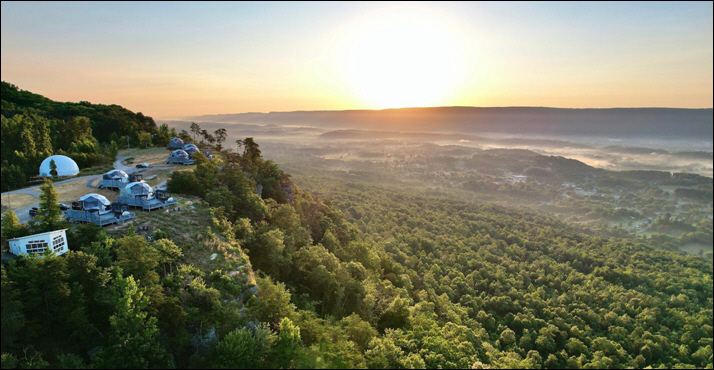 At Bolt Farm Treehouse, Trees Are About More Than Just Luxury Accommodations