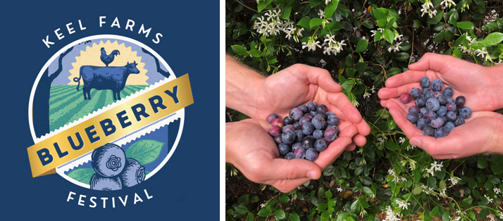 Tampa Bays Blueberry Season Kicks-off with the Annual Keel Farms Blueberry Festival