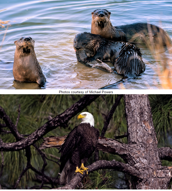 Naples Lakes Earns Top Biodiversity Award from Audubon