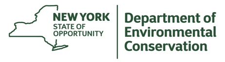 New York State Department of Environmental Conservation (DEC)
